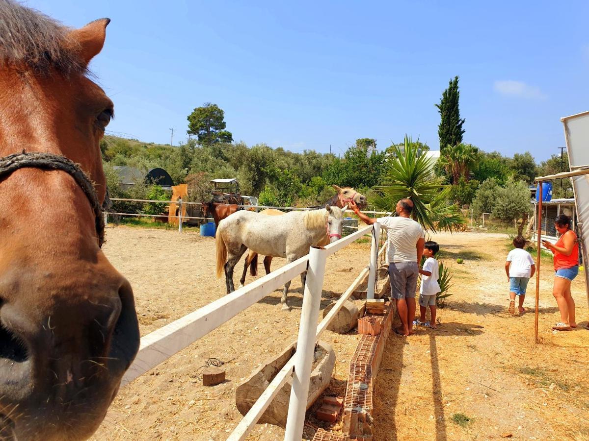 Patara Caretta Hotel ภายนอก รูปภาพ