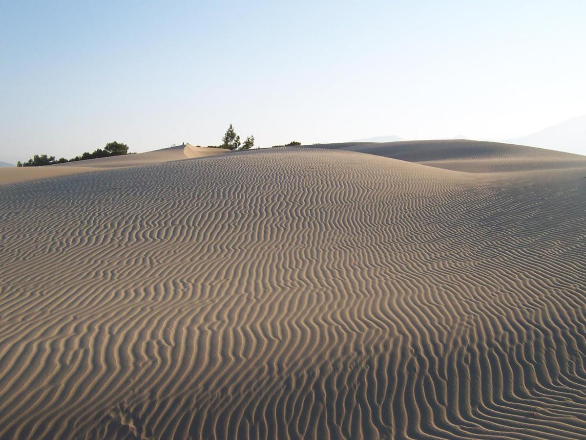 Patara Caretta Hotel ภายนอก รูปภาพ
