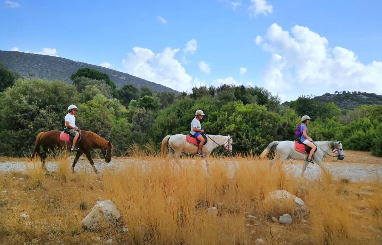 Patara Caretta Hotel ภายนอก รูปภาพ