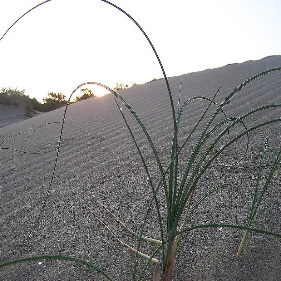 Patara Caretta Hotel ภายนอก รูปภาพ